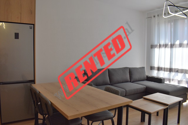Apartament 2+1 me qira ne rrugen prane QSUT-se ne Tirane